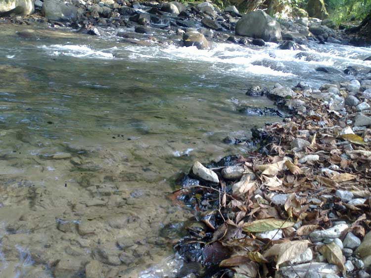Reconoce Conagua derrame de crudo en la Sierra Norte de Puebla