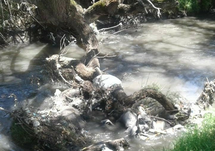 Basura y descargas de empresas contaminan río en Tlanalapan