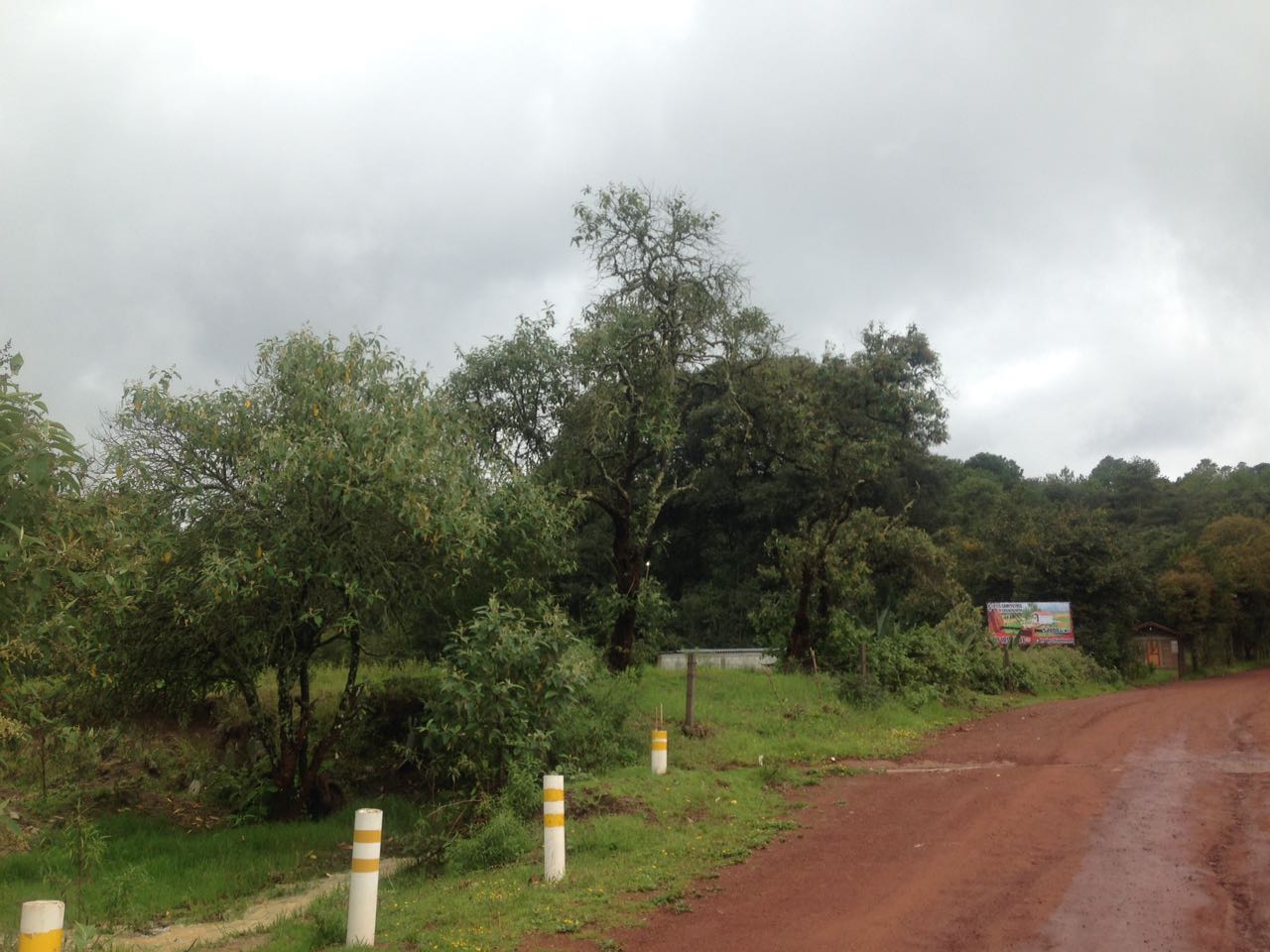 Deslaves menores dejaron las lluvias en 5 municipios poblanos