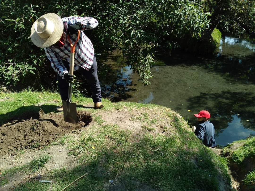 En Huejotzingo continúan con la limpieza de manantiales y reforestación