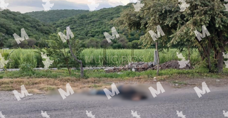 Localizan hombre apuñalado sobre la carretera Izúcar-Epatlán.