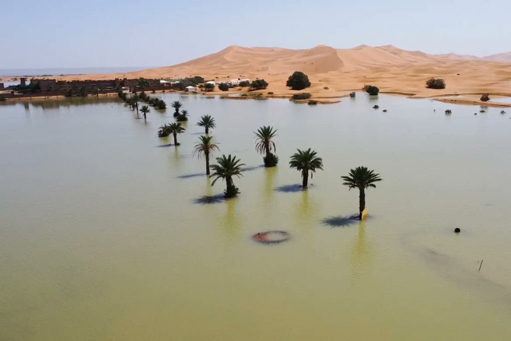 Lluvias inundan el desierto del Sahara