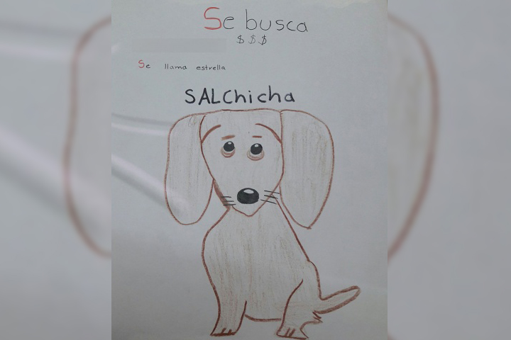 No tiene foto y con dibujo busca a su perrita