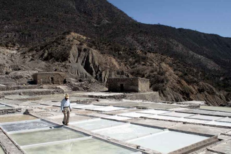 Buscan en Zapotitlán Salinas darle valor agregado a la sal artesanal 