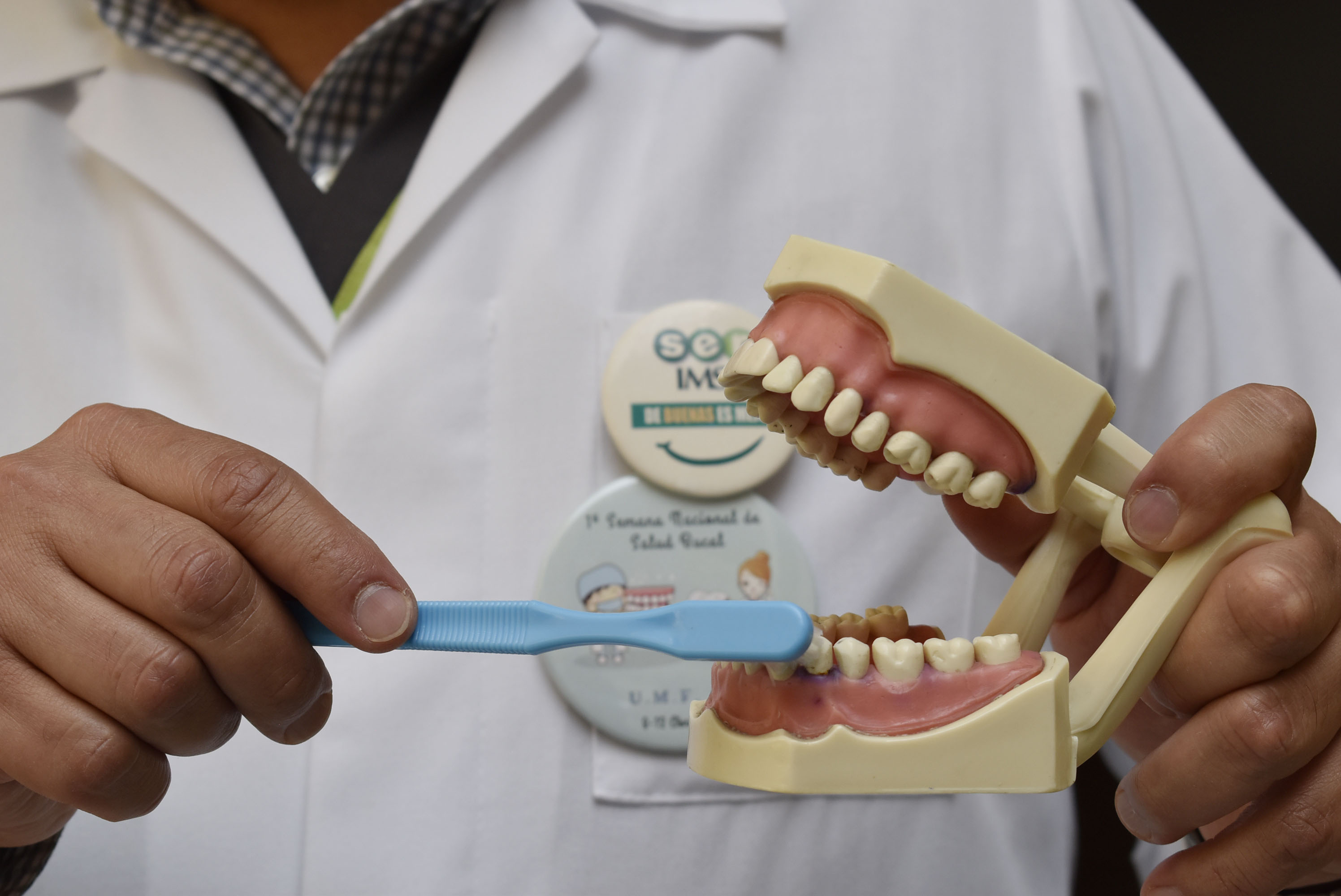 Imss Puebla inicia Semana nacional de salud bucal 2019