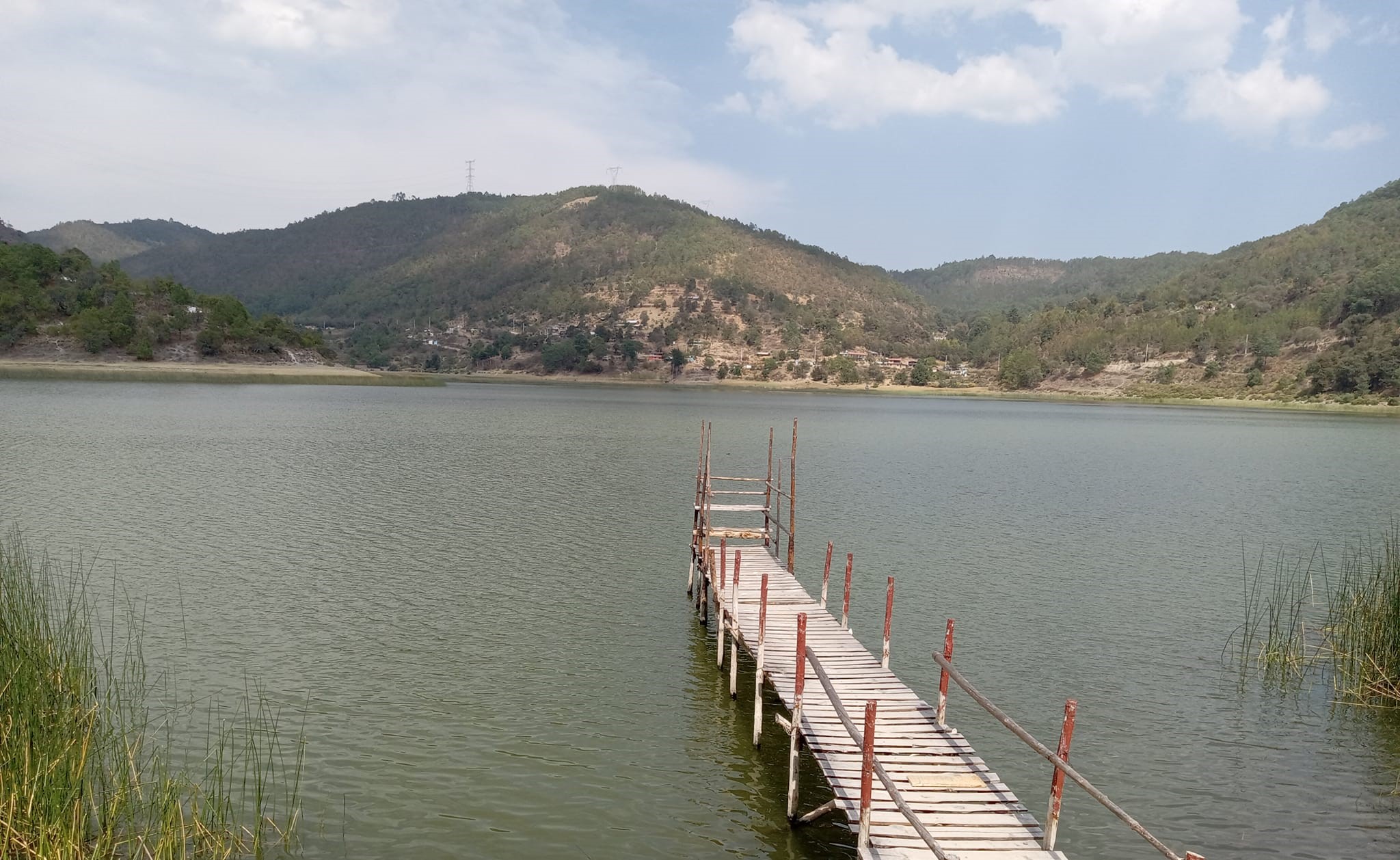 Altas temperaturas y exceso de nutrientes causaron muerte de peces en Laguna Grande: UNAM