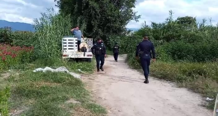 San Diego Chalma, en Tehuacán, foco rojo por delincuencia 