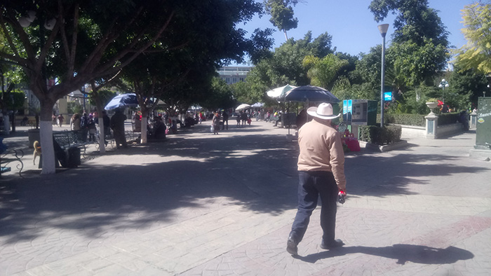 Buscan restauranteros de Coapan certificar su gastronomía
