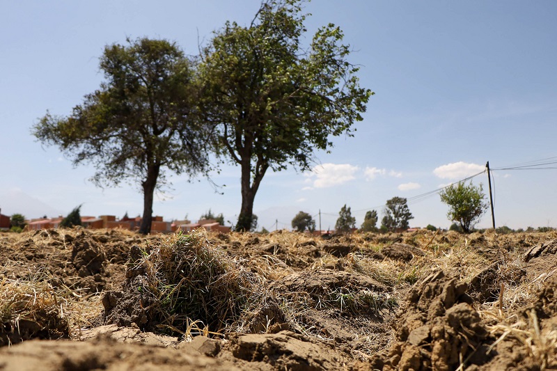 Sufren sequía severa o extrema 85 municipios de Puebla: Conagua