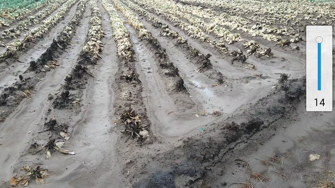 Huachicol contamina agua y quema cultivos en Acatzingo