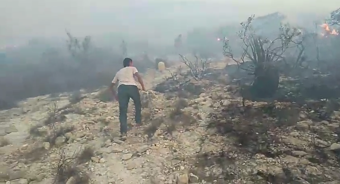 Consume 50 hectáreas un incendio en la Biosfera de Tehuacán