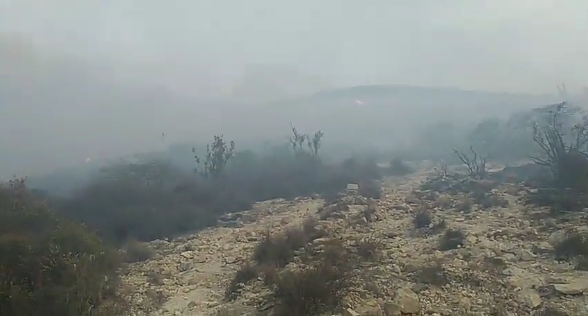 Controlan incendio en la Reserva de Tehuacán-Cuicatlán