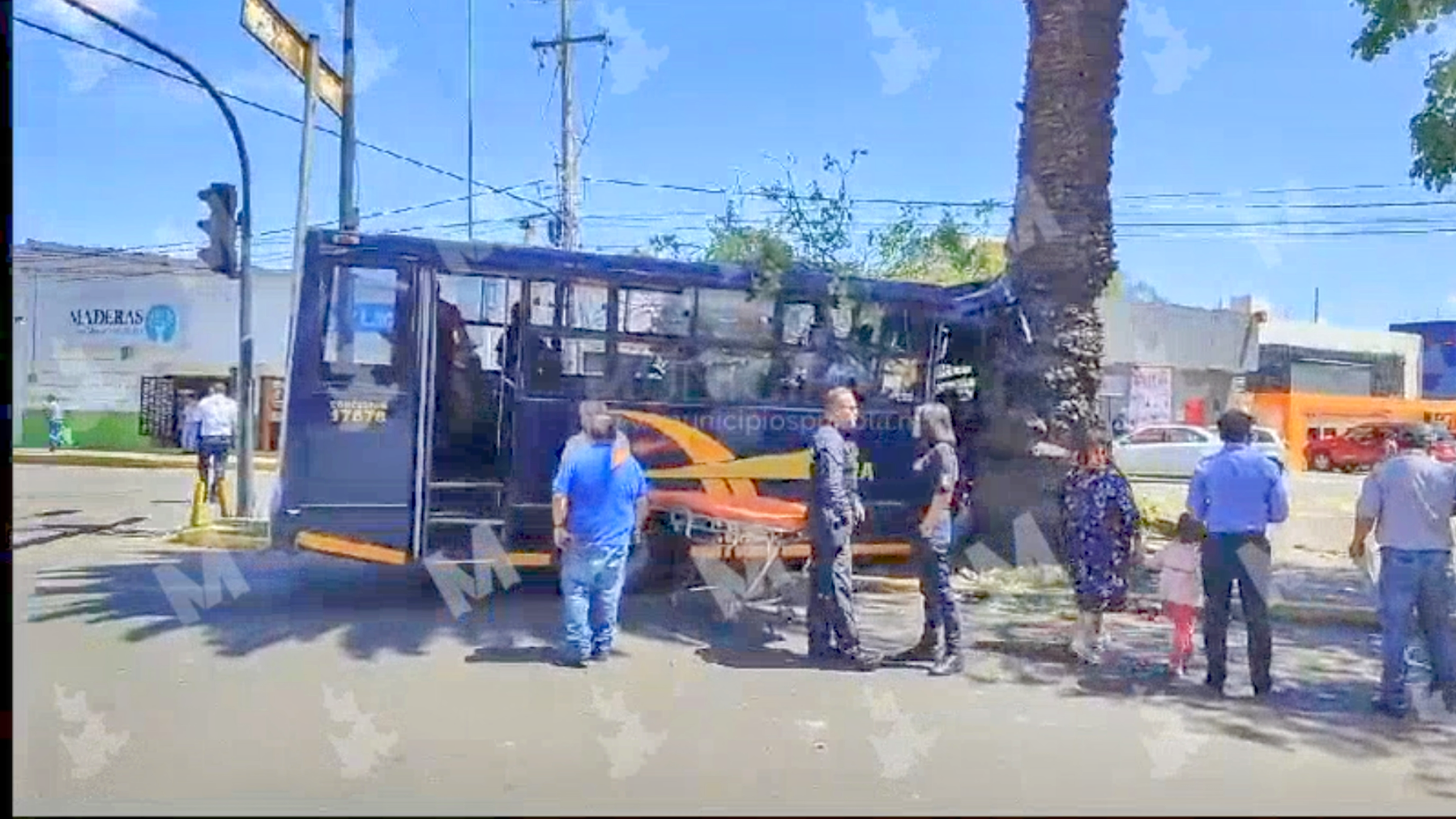 Ruta 3-A se estrella contra árbol y deja 5 lesionados en la Diagonal