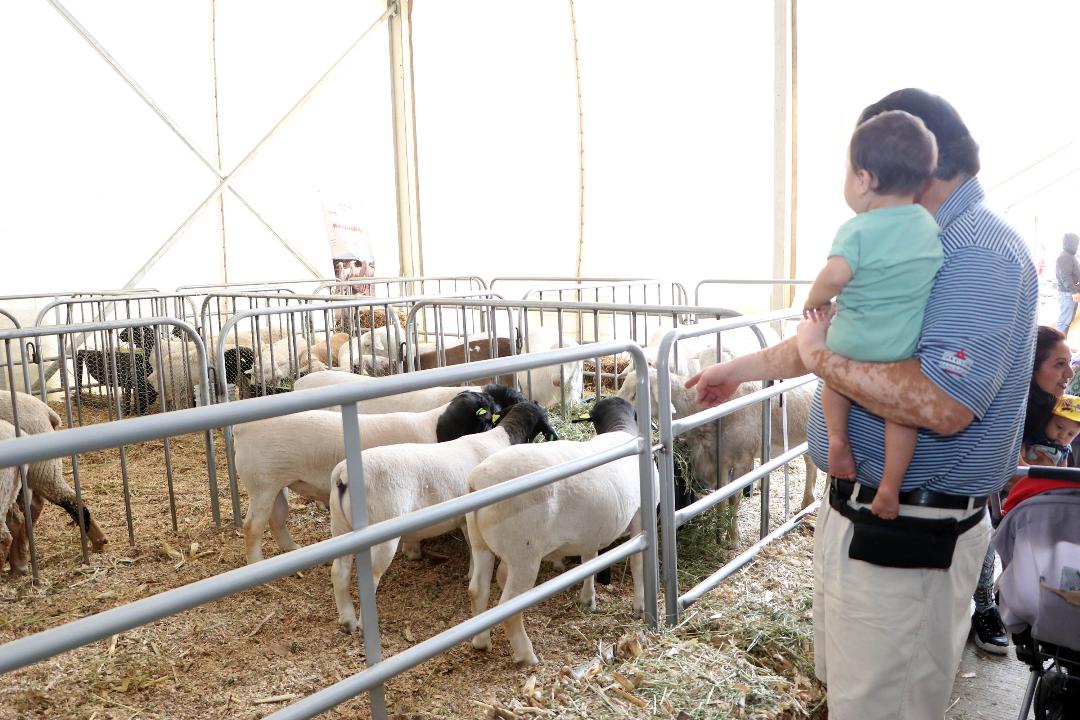 Con apoyo de SDR, productores consuman venta de animales en Expo Ganadera