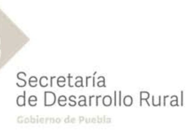 SDR de Puebla asegura que productos no se verán afectados por aranceles