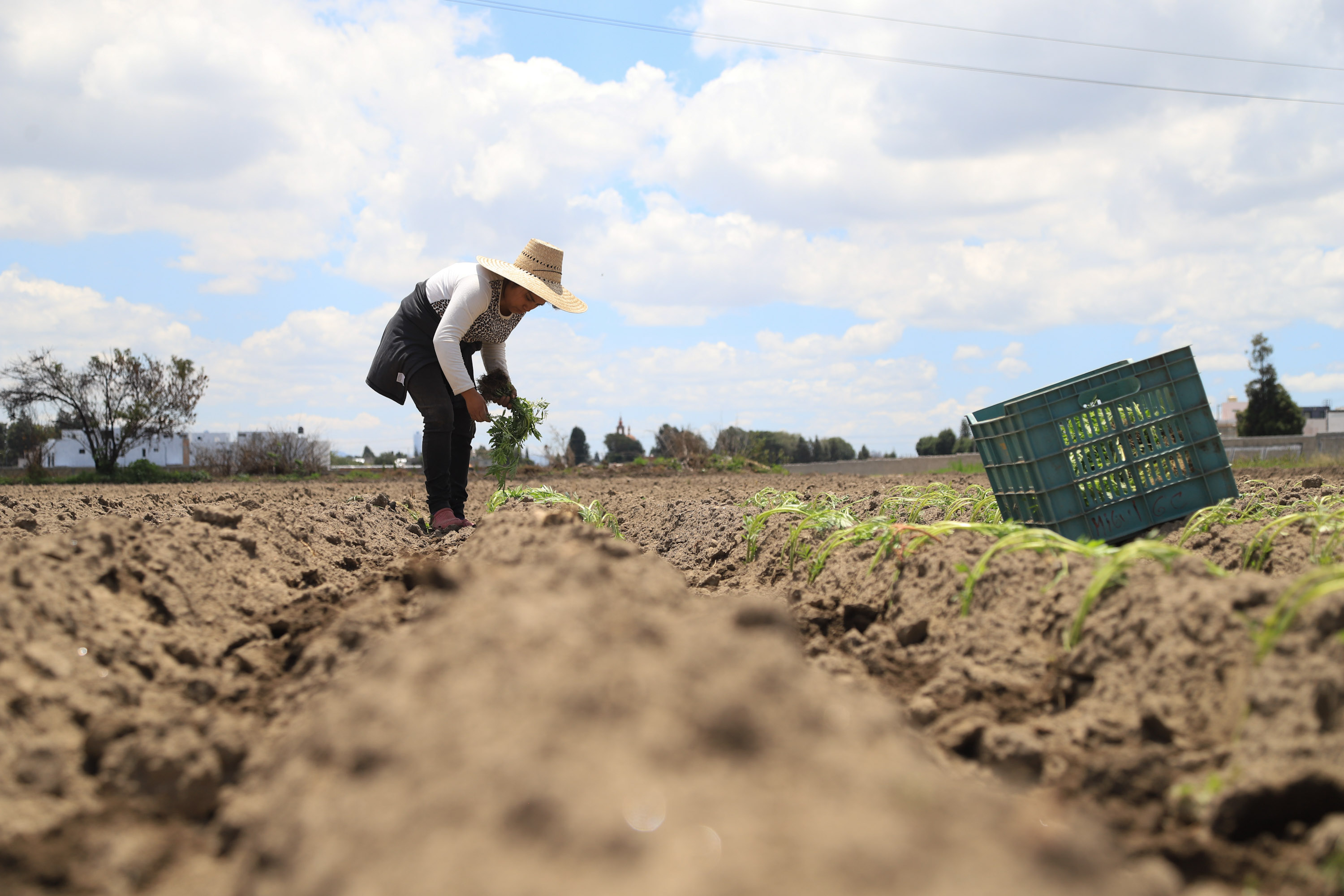 Piden en San Lázaro apoyos para agricultores de Puebla afectados por sequía