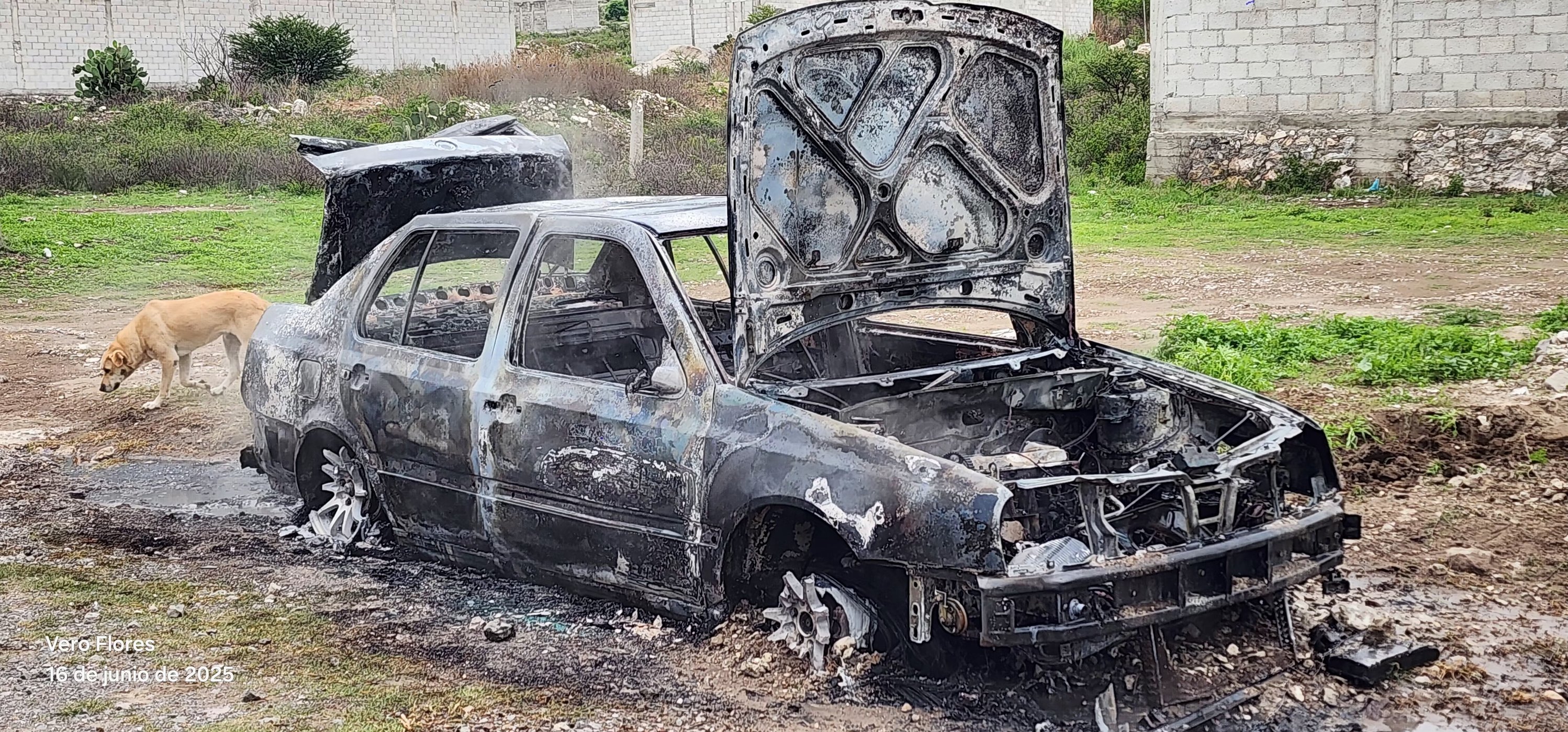Incendio de un vehículo moviliza a cuerpos de emergencia en Tecamachalco