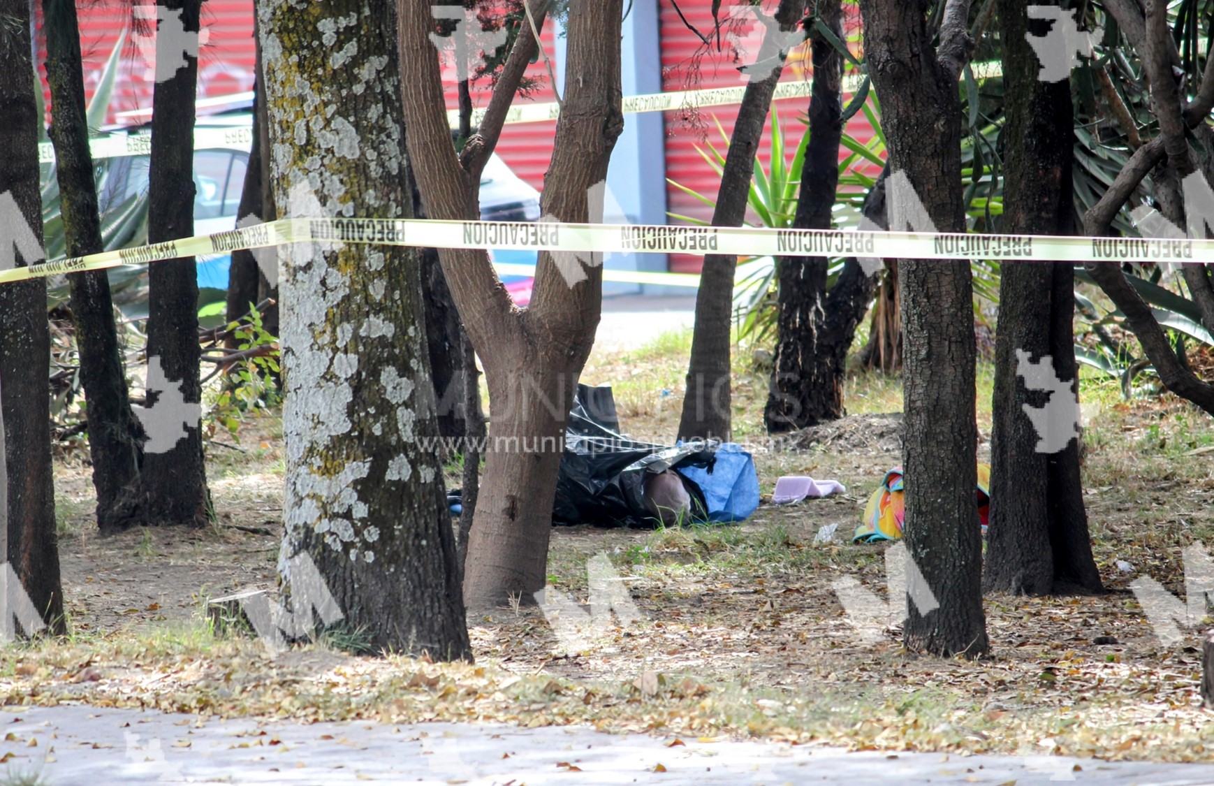 Abandonan cadáver atado y al parecer estrangulado