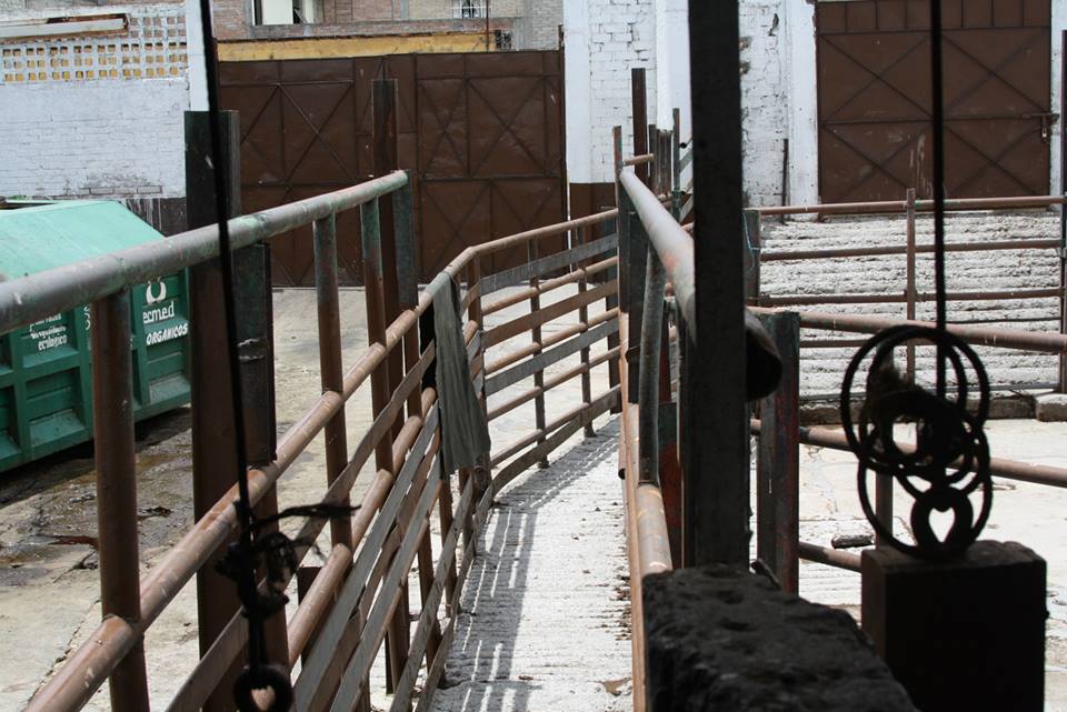 Reactiva Cofepris sacrificio de bovinos en rastro de Tehuacán