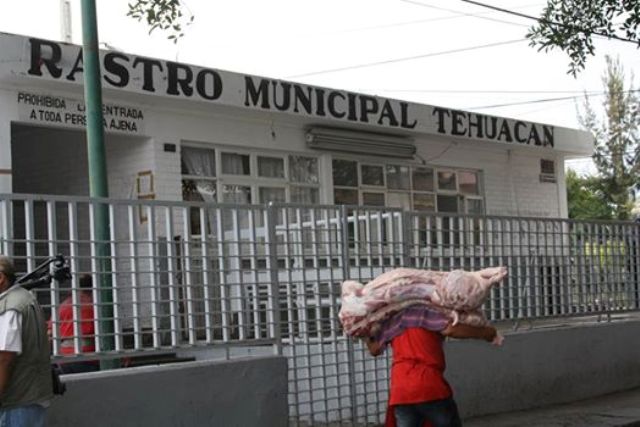 Reactiva Cofepris sacrificio de bovinos en rastro de Tehuacán