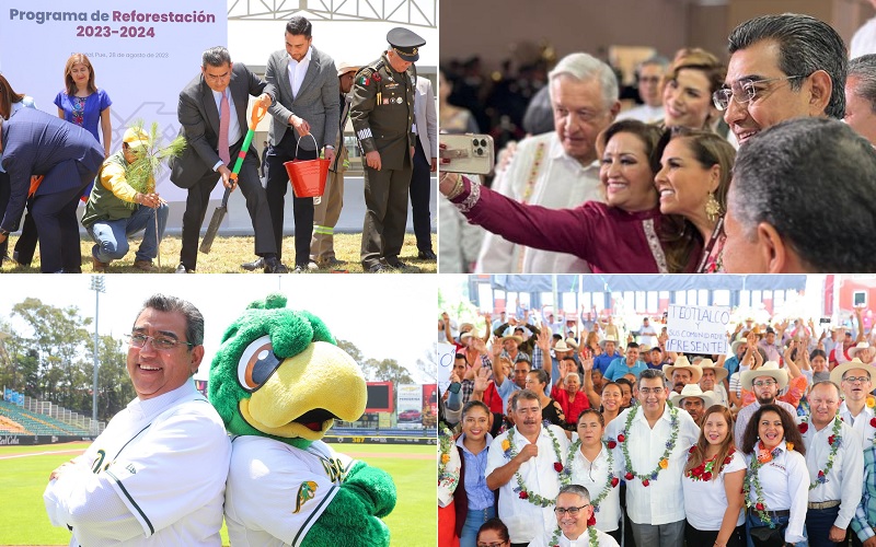 La semana de Céspedes en redes: a clases, informe de AMLO y Pericos