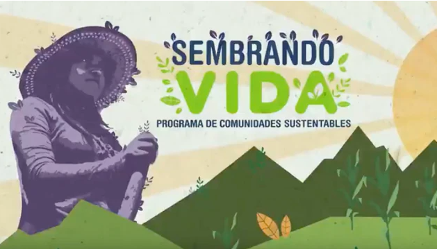 La farsa detrás de Sembrando Muerte (todo lo que usted necesita saber)