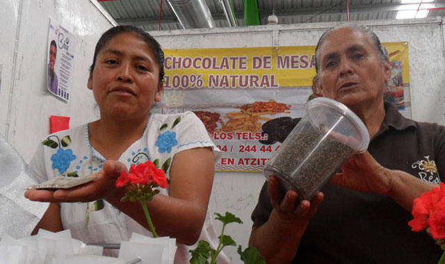 Más de 4 mil visitaron la Feria de Semillas Prehispánicas de Atzitzihuacan