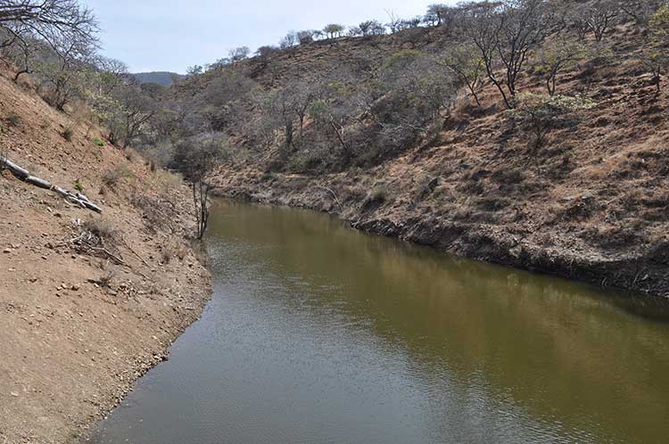 Temporada de sequía golpea a municipios de la Mixteca