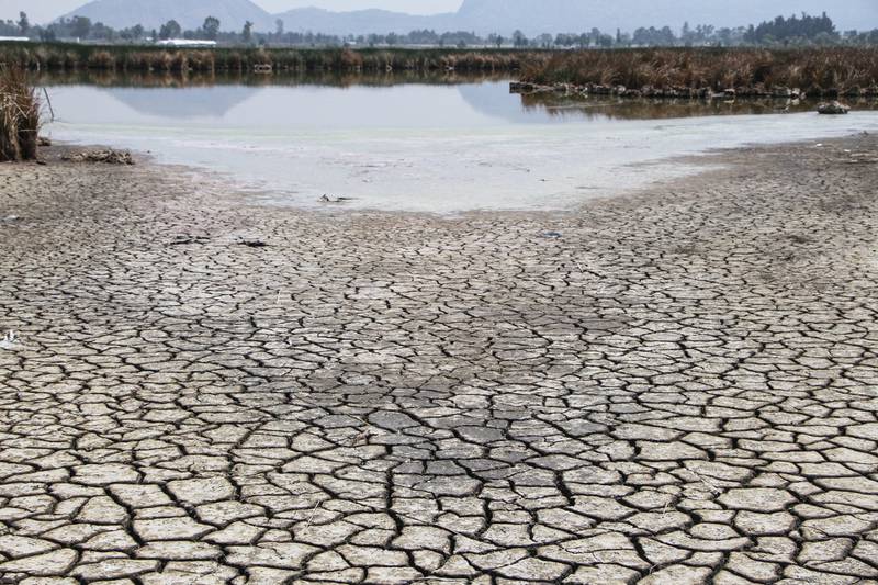 Demandan a Conagua, Agricultura y Hacienda comparecer por crisis de agua