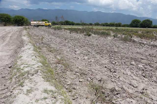 Calor y falta de lluvia afectarían cultivos en Tehuacán