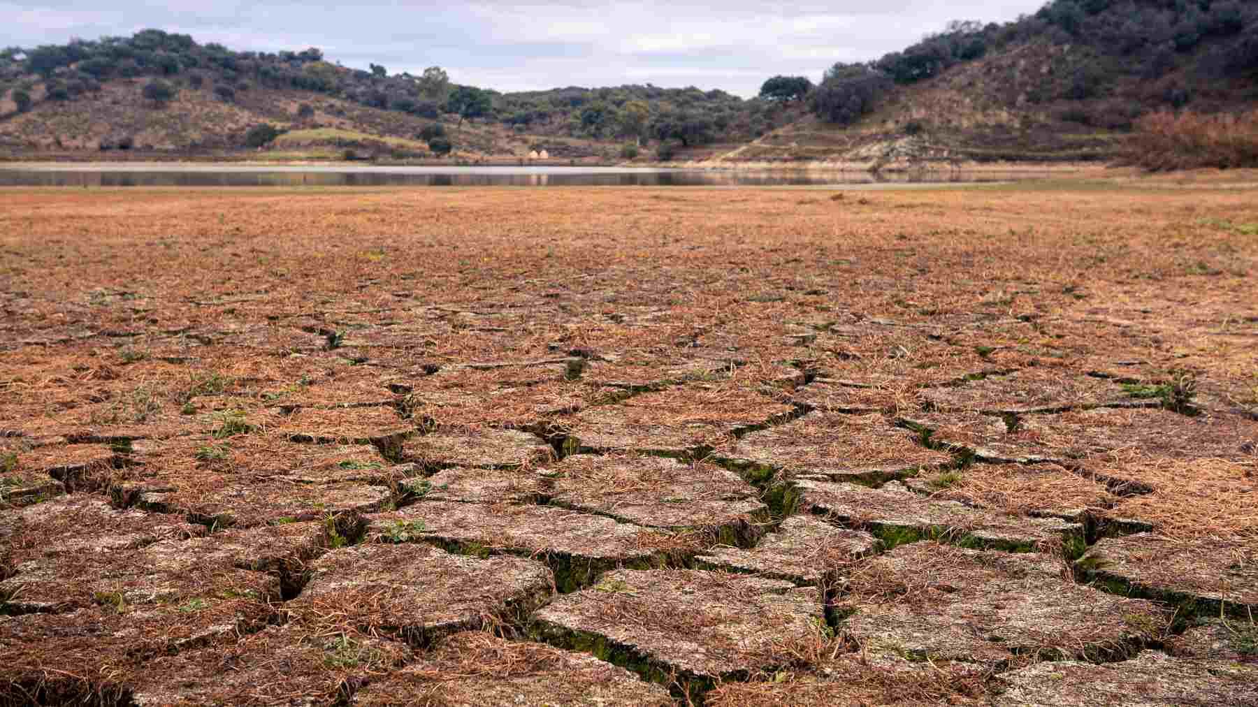 Persisten condiciones de sequía pese a lluvias en México