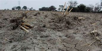 Un centenar de municipios poblanos presentan sequía 