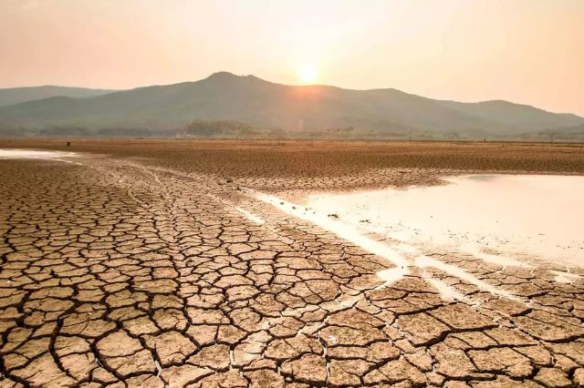 El cambio climático reduce el rendimiento global de cultivos básicos