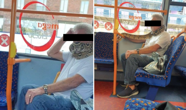Se hace viral hombre que usa serpiente como bufanda