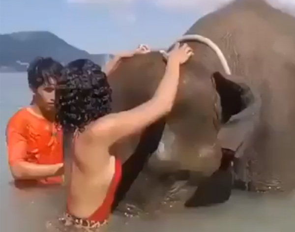 VIDEO Buscaba una sexy fotografía y esto fue lo que logró