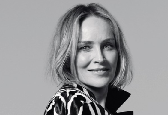 Le cae rayo a Sharon Stone y queda inconsciente dentro de su casa