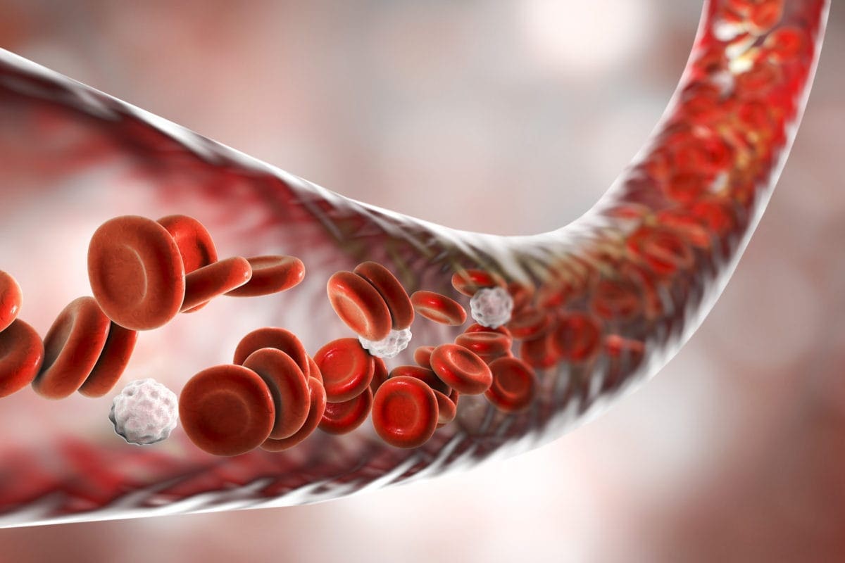 Cofepris activa protocolo de vigilancia por bacteriemia en hospital de la CDMX