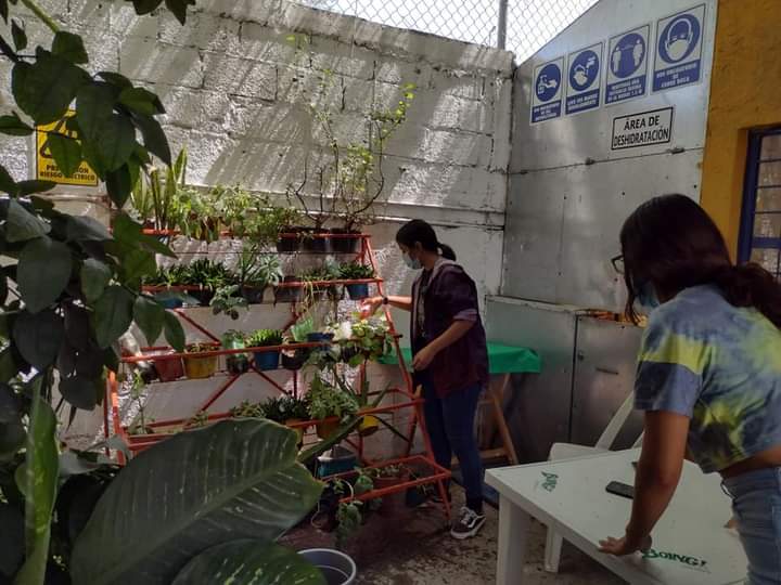 Capacitan en Tehuacán a ciudadanos en siembras de productos de traspatio