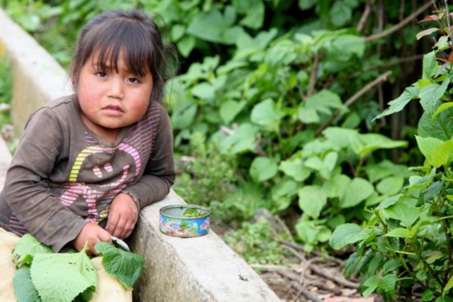 Inseguridad alimentaria impacta a 60.8% de hogares mexicanos
