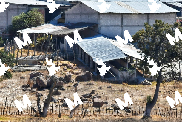 Se mantiene presencia de autoridades en Rancho de La Curandera en Tlaxco