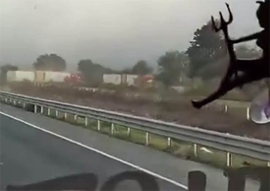 VIDEO Así se llevan dos tráileres tras ser asaltados en la Puebla-Orizaba 