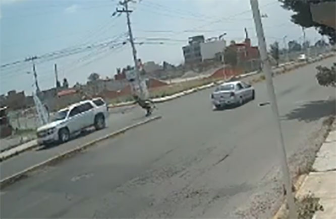 VIDEO Abuelito ciclista muere tras ser embestido por camioneta 