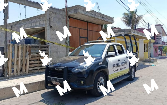 Realizan cateos simultáneos en Tlaxcala; aseguran vehículos