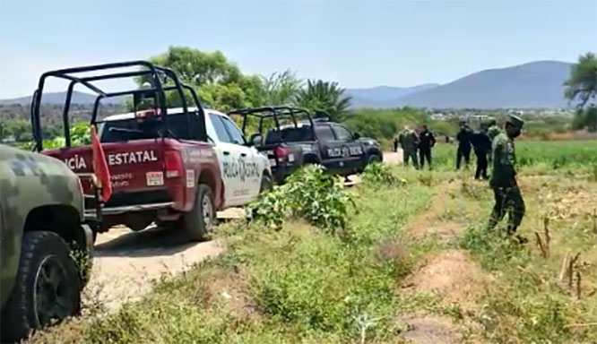 Hallan cadáver de mujer en terrenos de siembra de Tehuacán