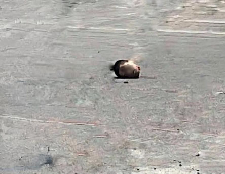 Motociclista muere decapitado por cable de teléfono en Guadalupe Victoria 