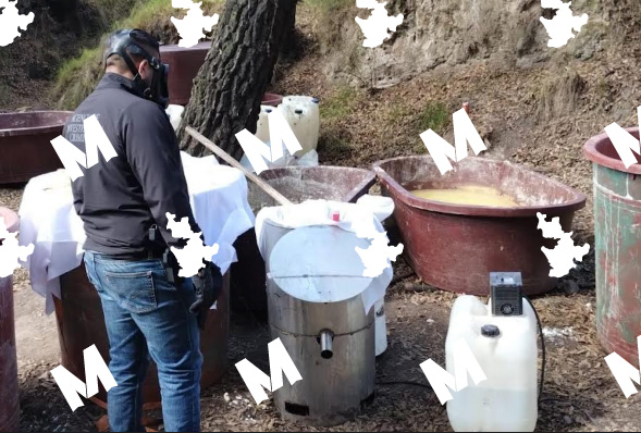 Aseguran narcolaboratorio en predio de Españita en Tlaxcala