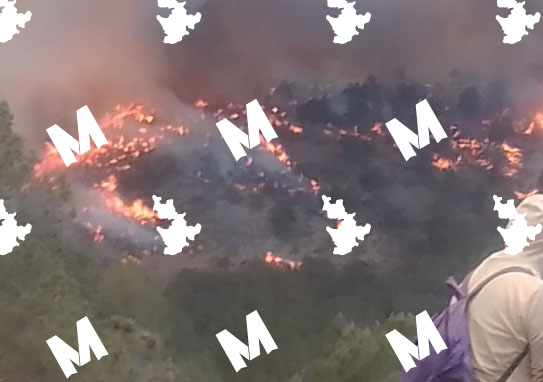 Incendio en límites entre Puebla y Tlaxcala moviliza a brigadas forestales