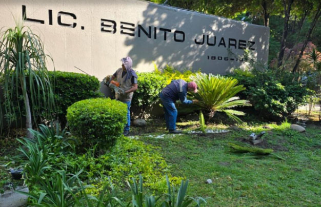 Ayuntamiento de Puebla da mantenimiento a 12 millones de metros cuadrados de áreas verdes