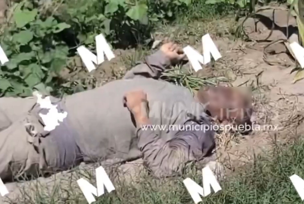 VIDEO Hallan cadáver de un hombre en terrenos de cultivo de Acajete