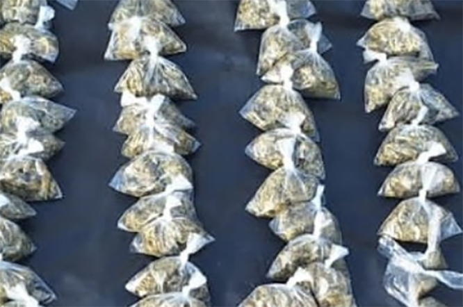 En Sonora, Guardia Nacional asegura más de 260 dosis de cocaína, cristal y marihuana